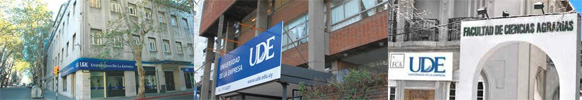 UDE - Universidad de la Empresa