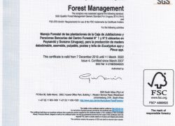 fsc-forest-management